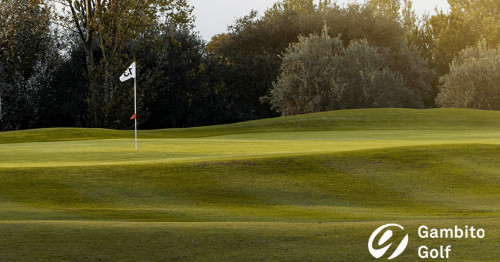 Diseño de los Campos de Golf